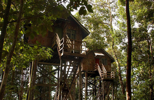 Permai Rainforest Resort